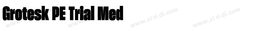 Grotesk PE Trial Med字体转换